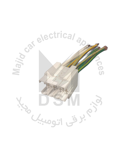 جا فيوزي رانا